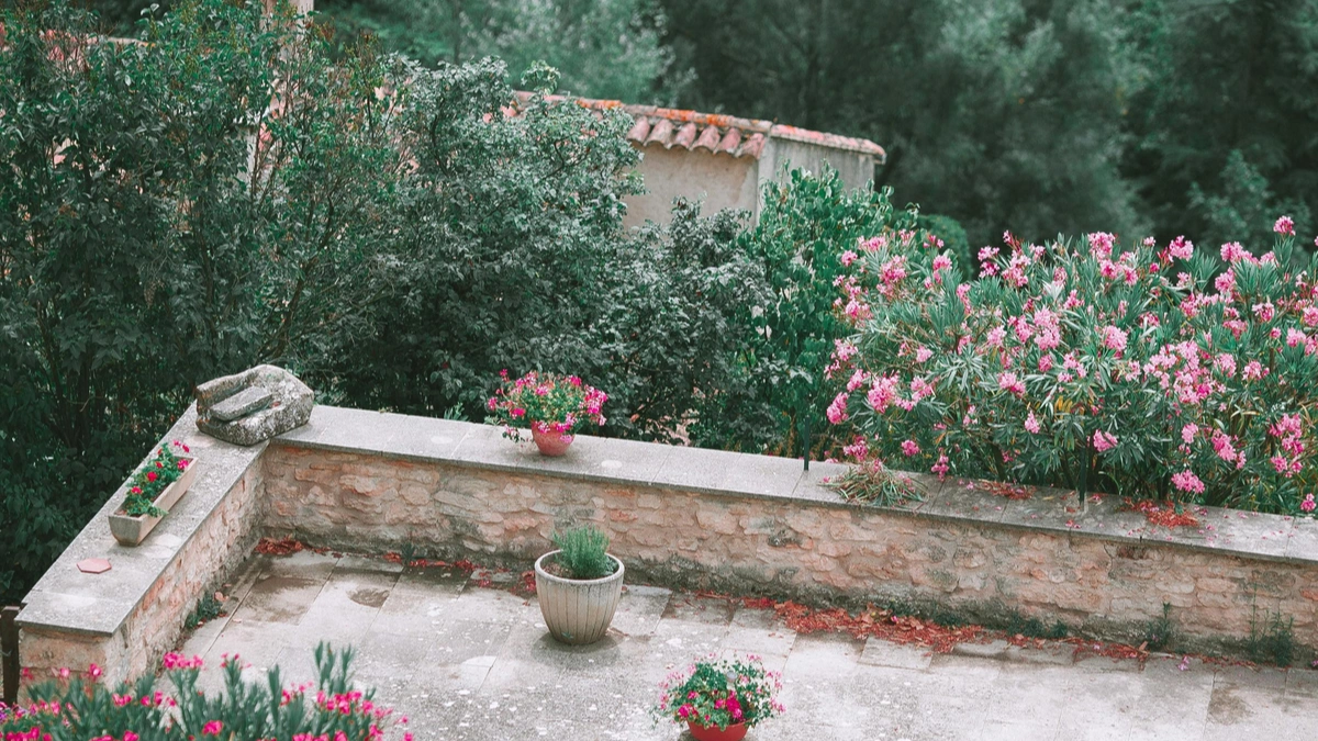 Balcony Gardening Setup