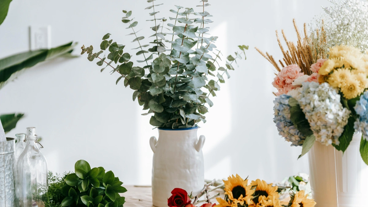 Best Fragrant Indoor Plants