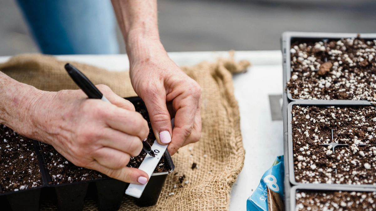 Best Potting Mix for Indoor Plants