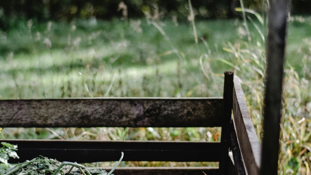 Regrow Kitchen Scraps