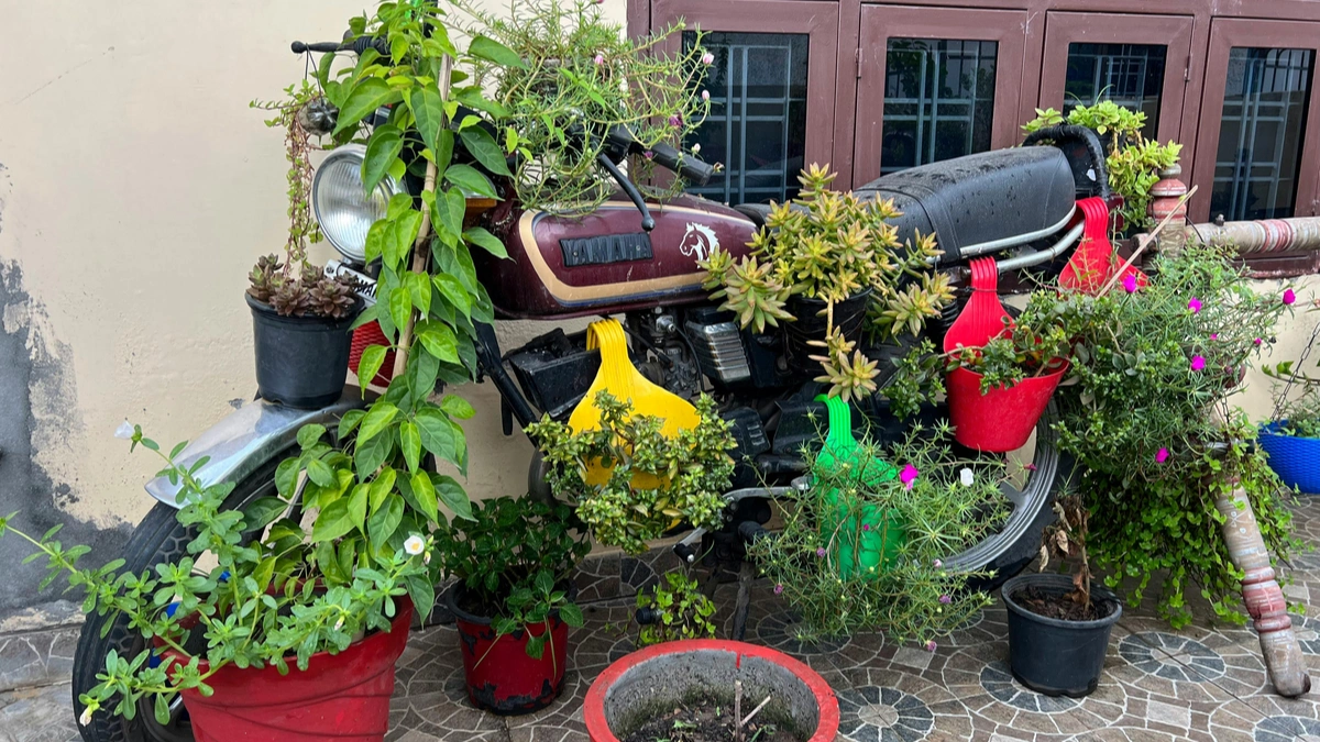 Urban Gardening Guide