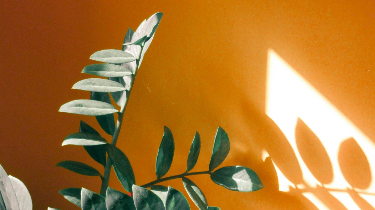 Zero Waste Gardening