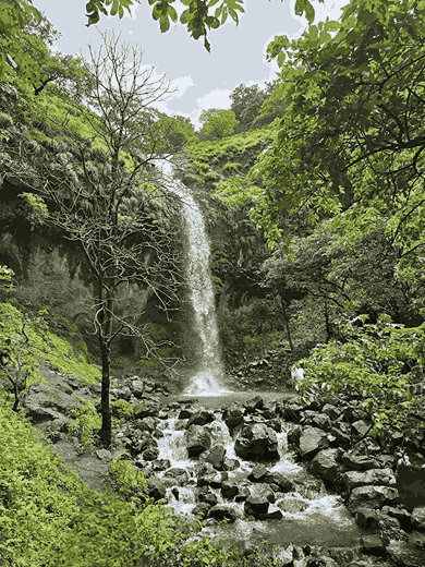 Best Waterfalls Near Pune: Secret Falls & Day Trip Guide (50–100 km)